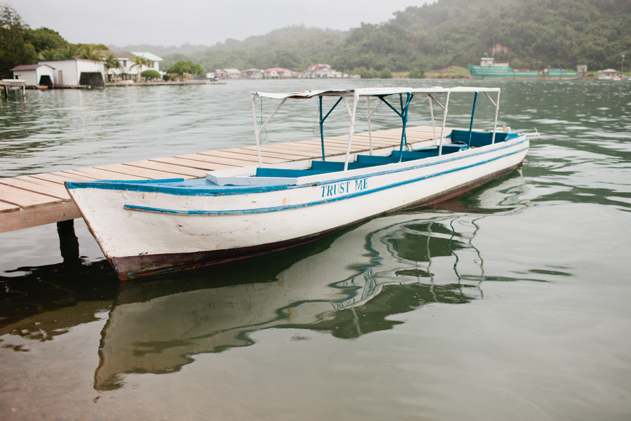 Roatan-mangroves-1