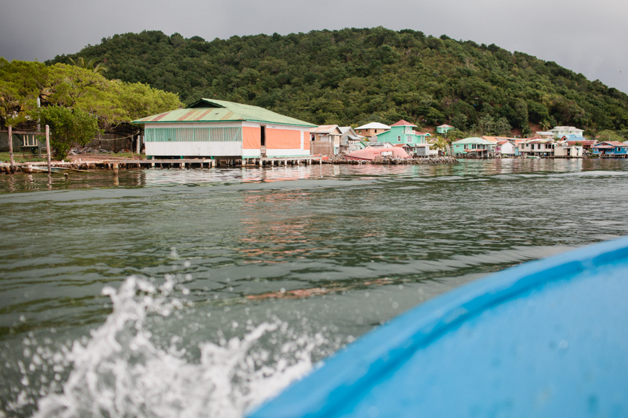 Roatan-mangroves-2